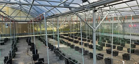 3557 Kokomo Road Haines City FL 33844