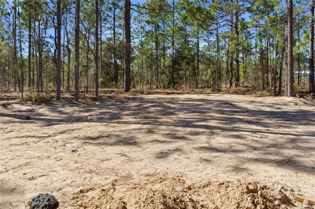 670 NE 149th Court Williston FL 32696
