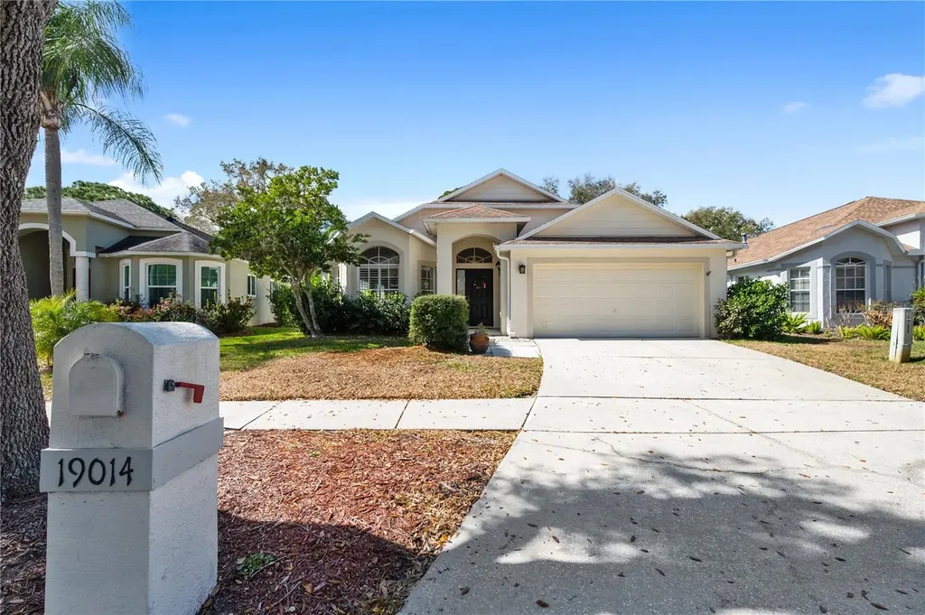 19014 Chemille Drive Lutz FL 33558