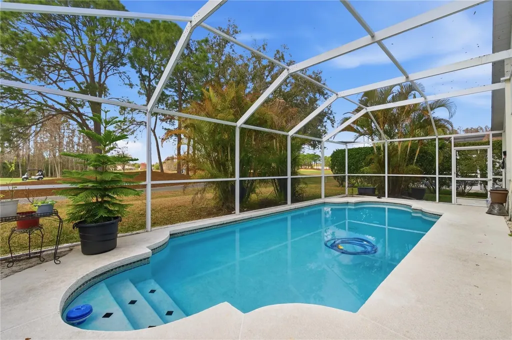 19014 Chemille Drive Lutz FL 33558
