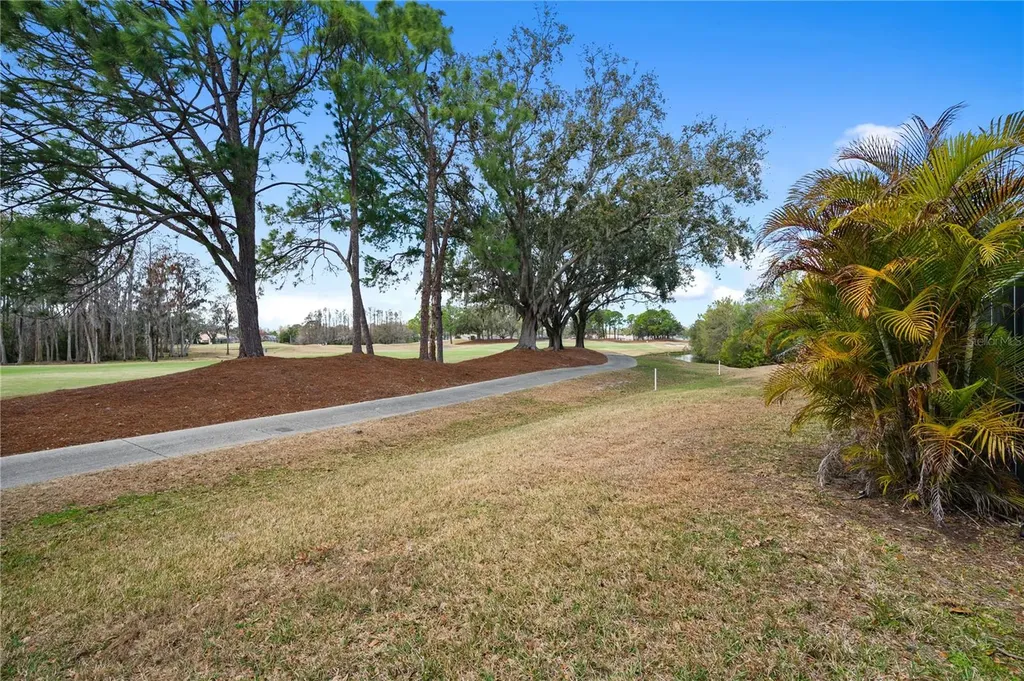 19014 Chemille Drive Lutz FL 33558