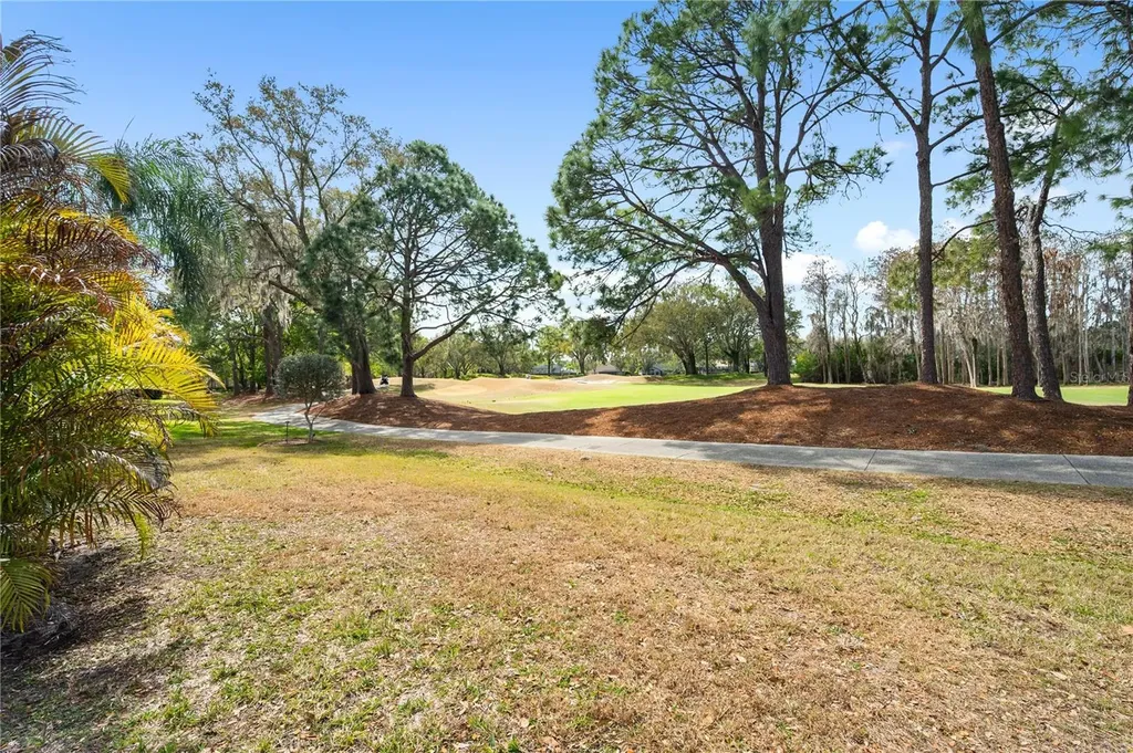 19014 Chemille Drive Lutz FL 33558