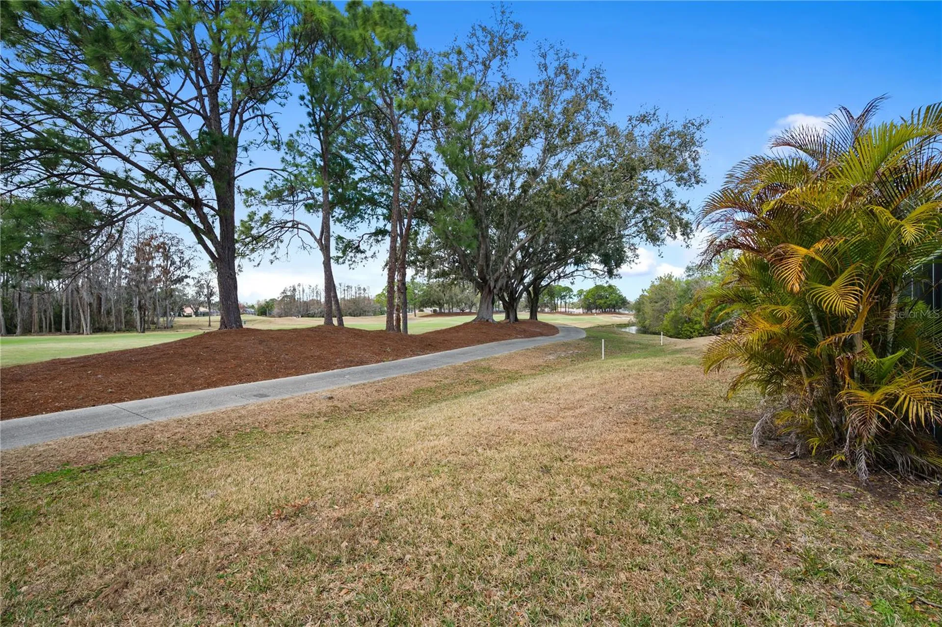 19014 Chemille Drive Lutz FL 33558
