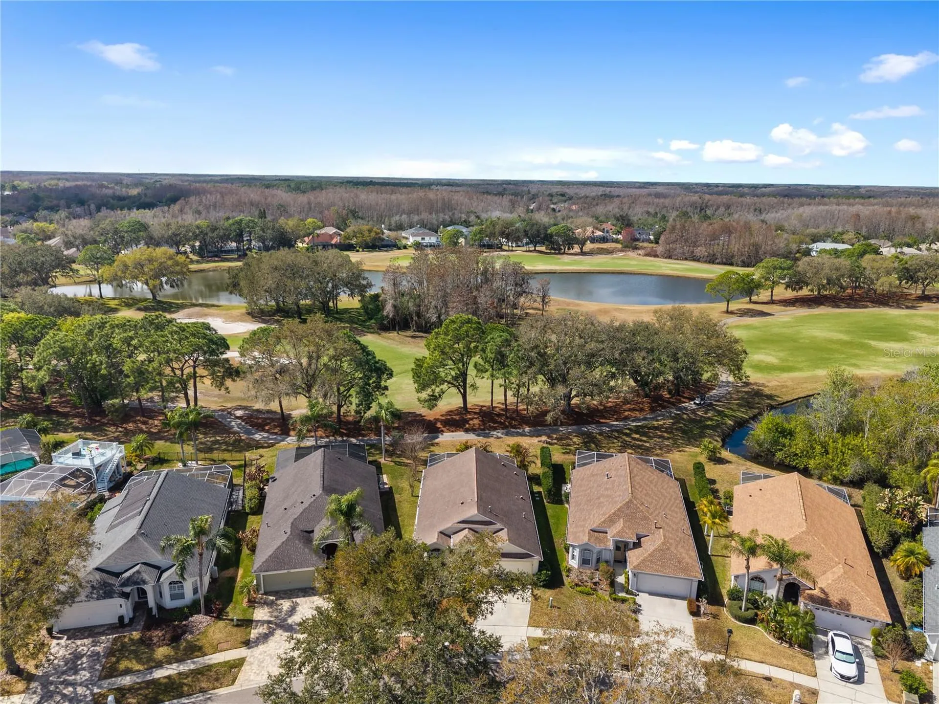 19014 Chemille Drive Lutz FL 33558