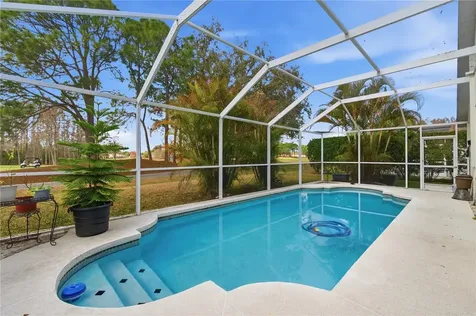 19014 Chemille Drive Lutz FL 33558