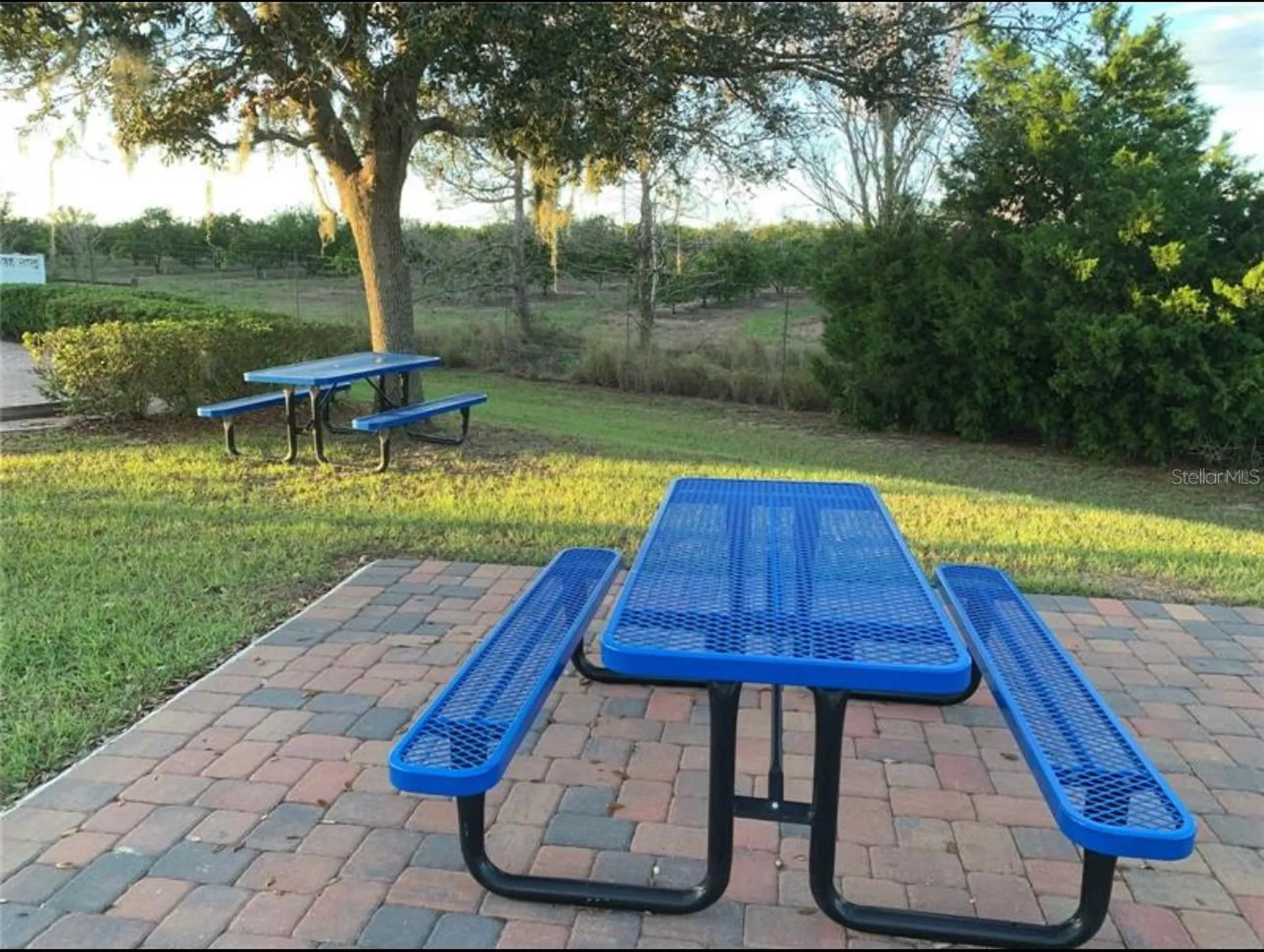 15349 Harvest Boulevard Clermont FL 34714
