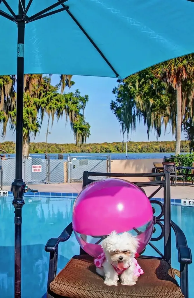 210 River Bend Place Welaka FL 32193