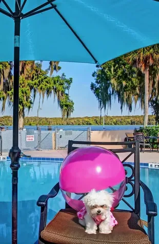 210 River Bend Place Welaka FL 32193