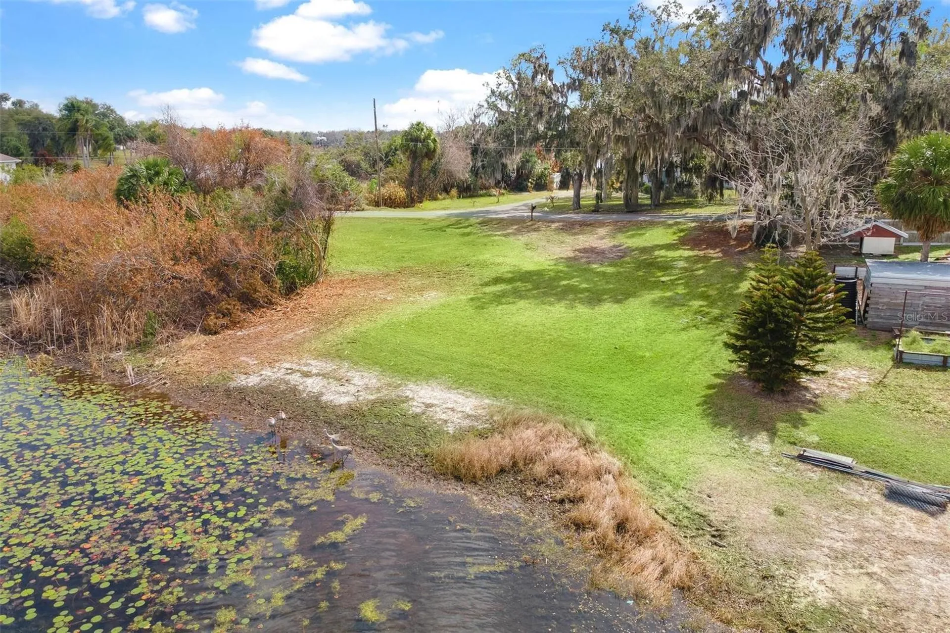 0 Wilson Parrish Road Umatilla FL 32784
