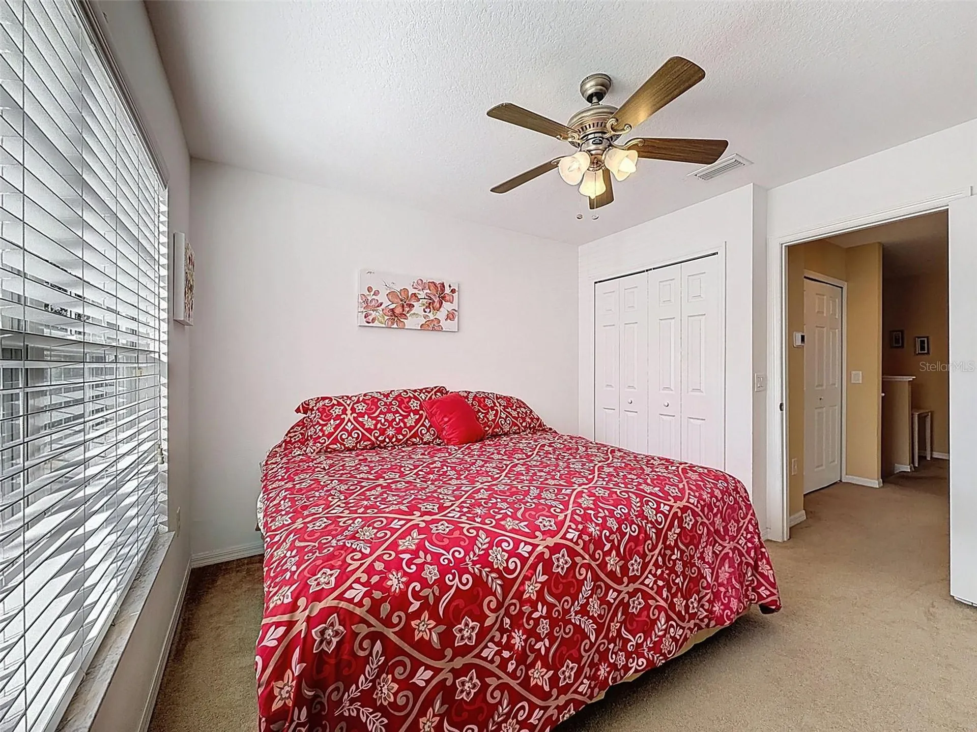 11807 Castine Street New Port Richey FL 34654