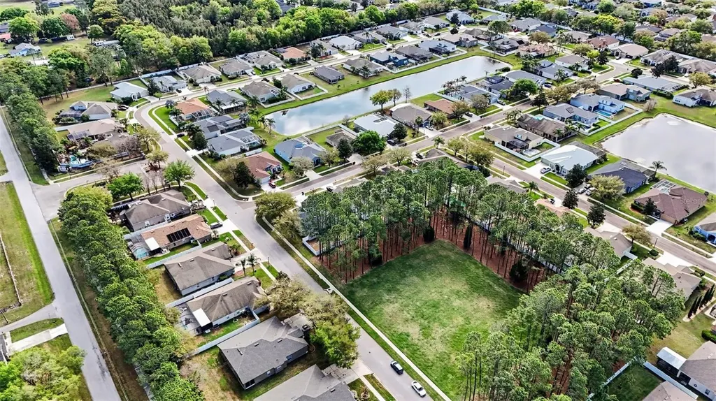 20835 Riverforest Drive Land O Lakes FL 34638