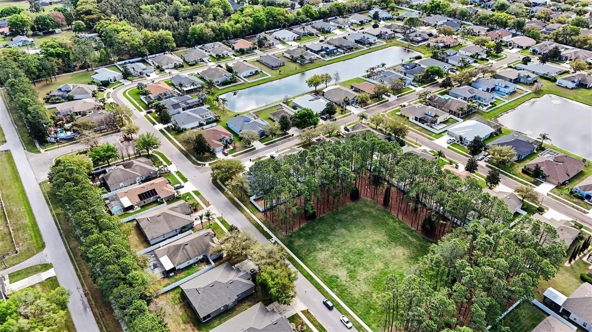 20835 Riverforest Drive Land O Lakes FL 34638