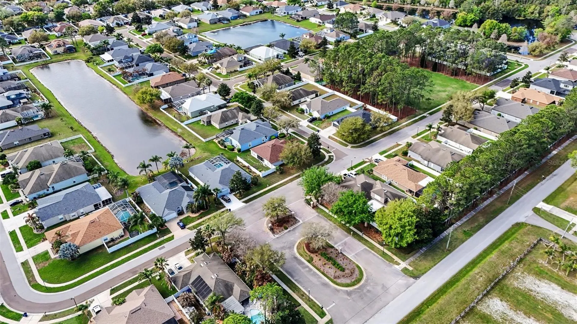 20835 Riverforest Drive Land O Lakes FL 34638