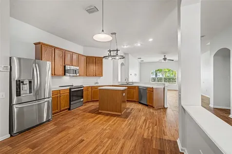 20835 Riverforest Drive Land O Lakes FL 34638