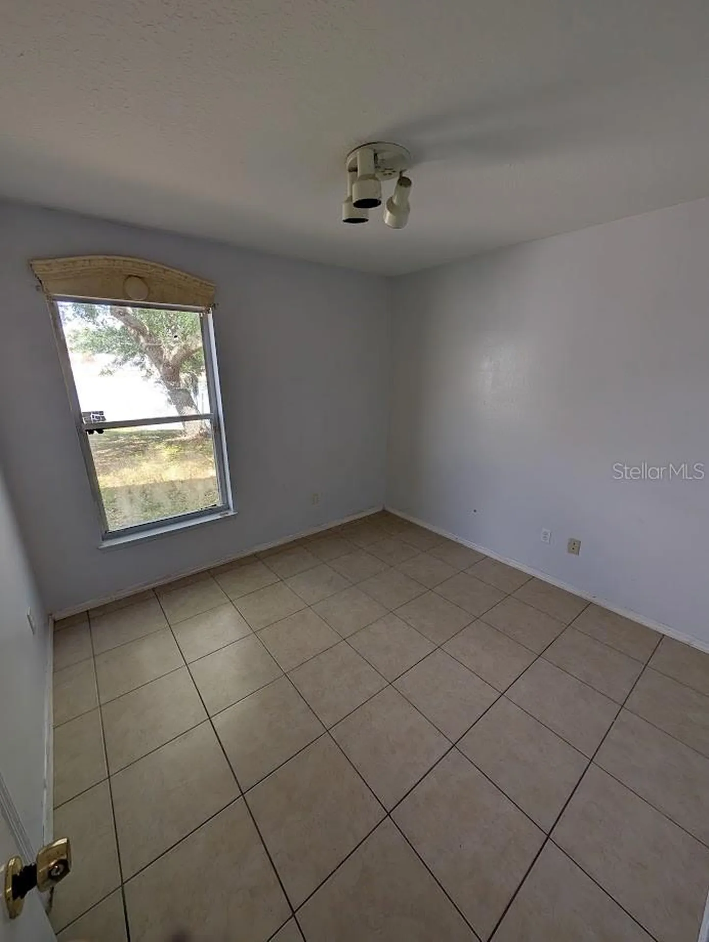 7657 Pine Fork Drive Orlando FL 32822