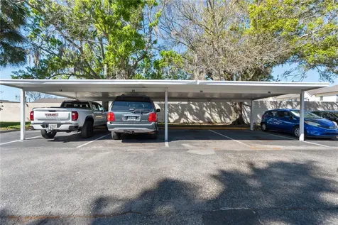 3848 N Lake Drive Tampa FL 33614