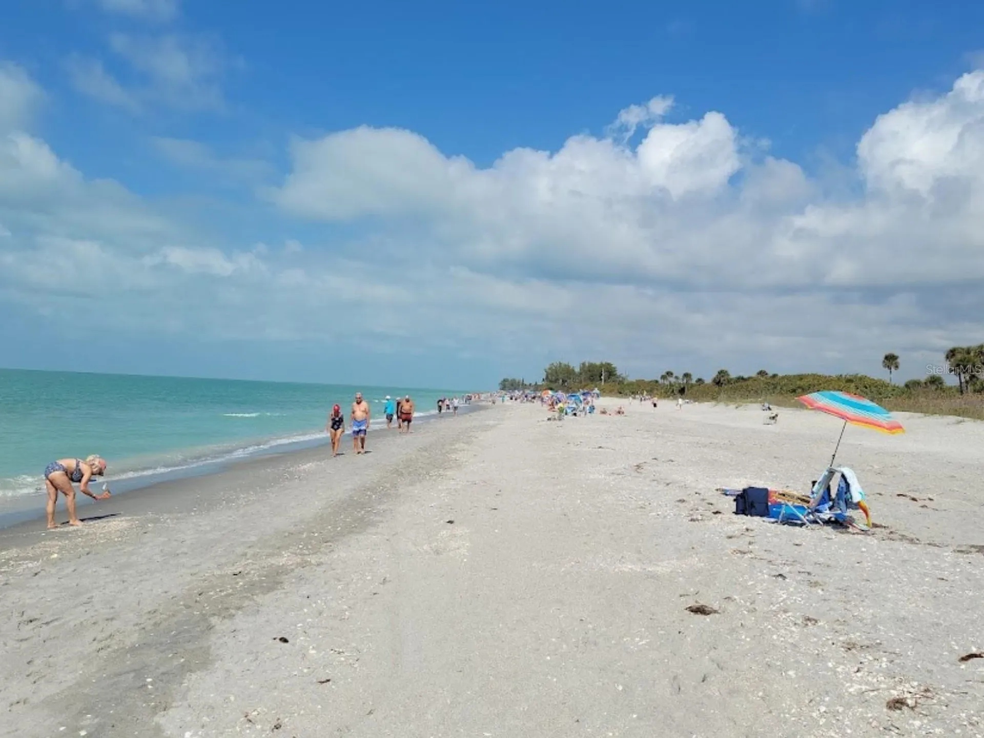 Malinda Terrace North Port FL 34286