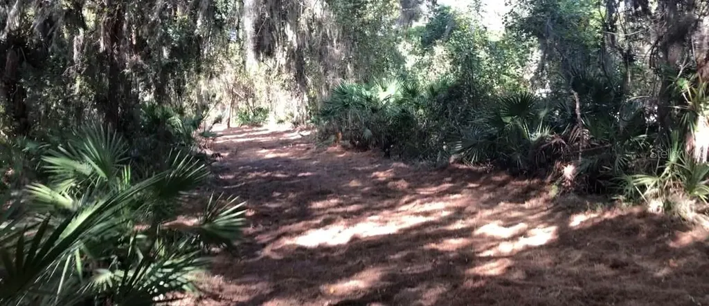 Lake Reedy Boulevard N Frostproof FL 33843