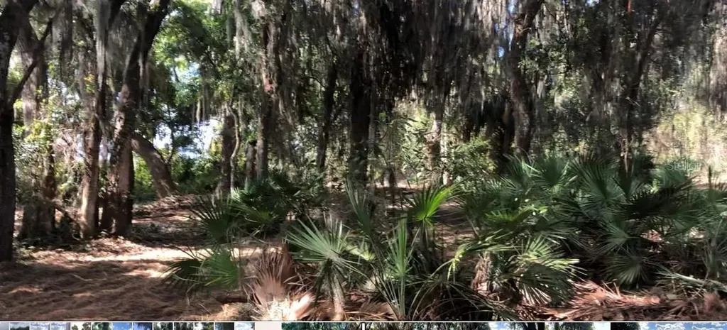 Lake Reedy Boulevard N Frostproof FL 33843
