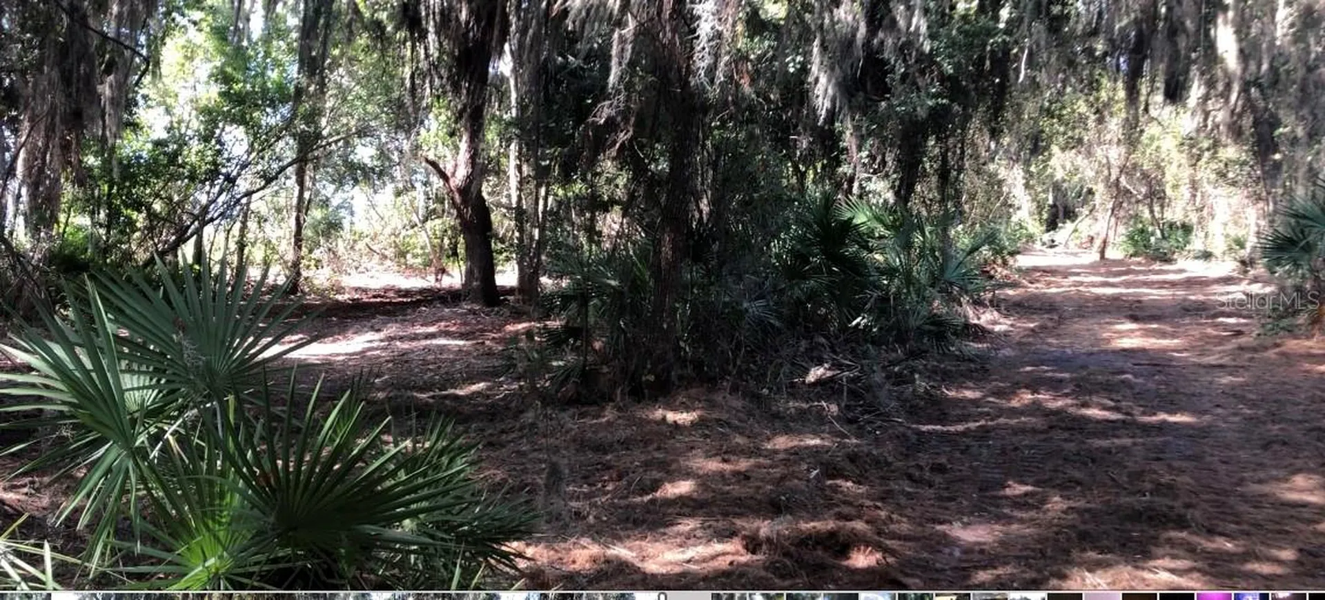 Lake Reedy Boulevard N Frostproof FL 33843