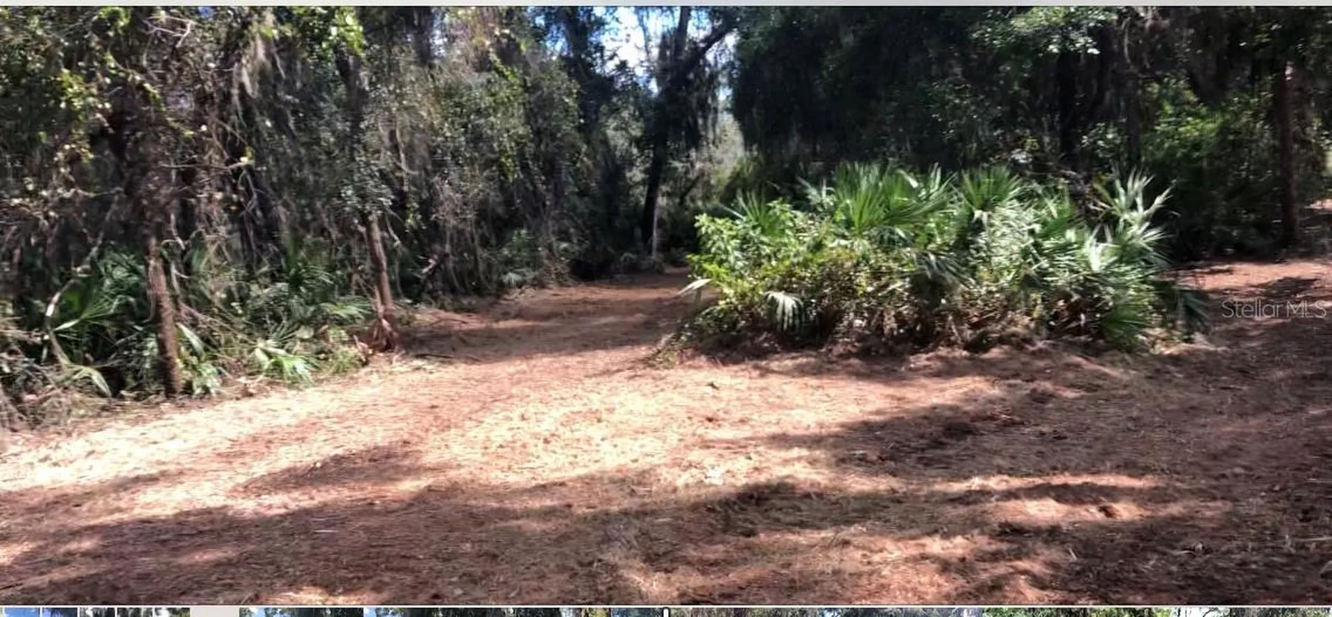 Lake Reedy Boulevard N Frostproof FL 33843