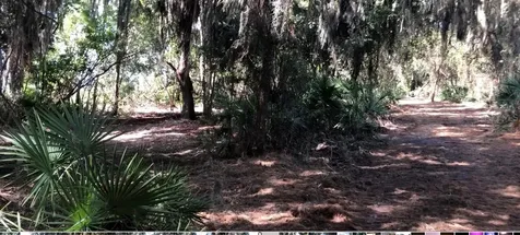 Lake Reedy Boulevard N Frostproof FL 33843