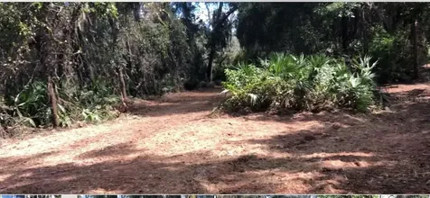 Lake Reedy Boulevard N Frostproof FL 33843