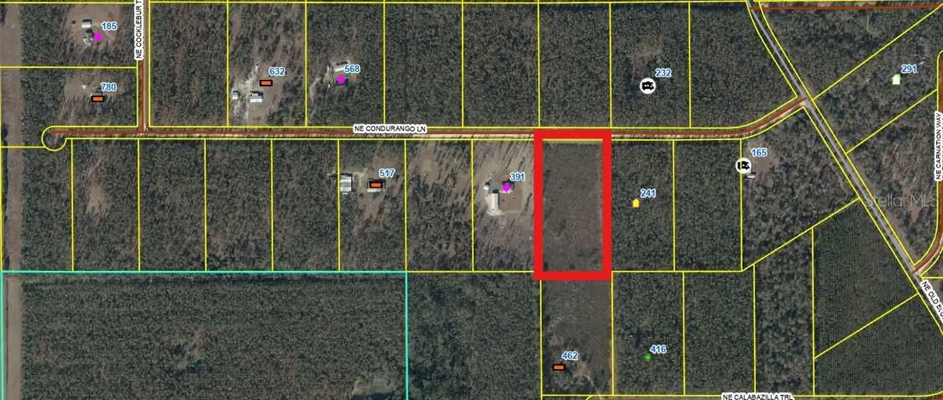 462 NE Calabazilla Trail Lee FL 32059