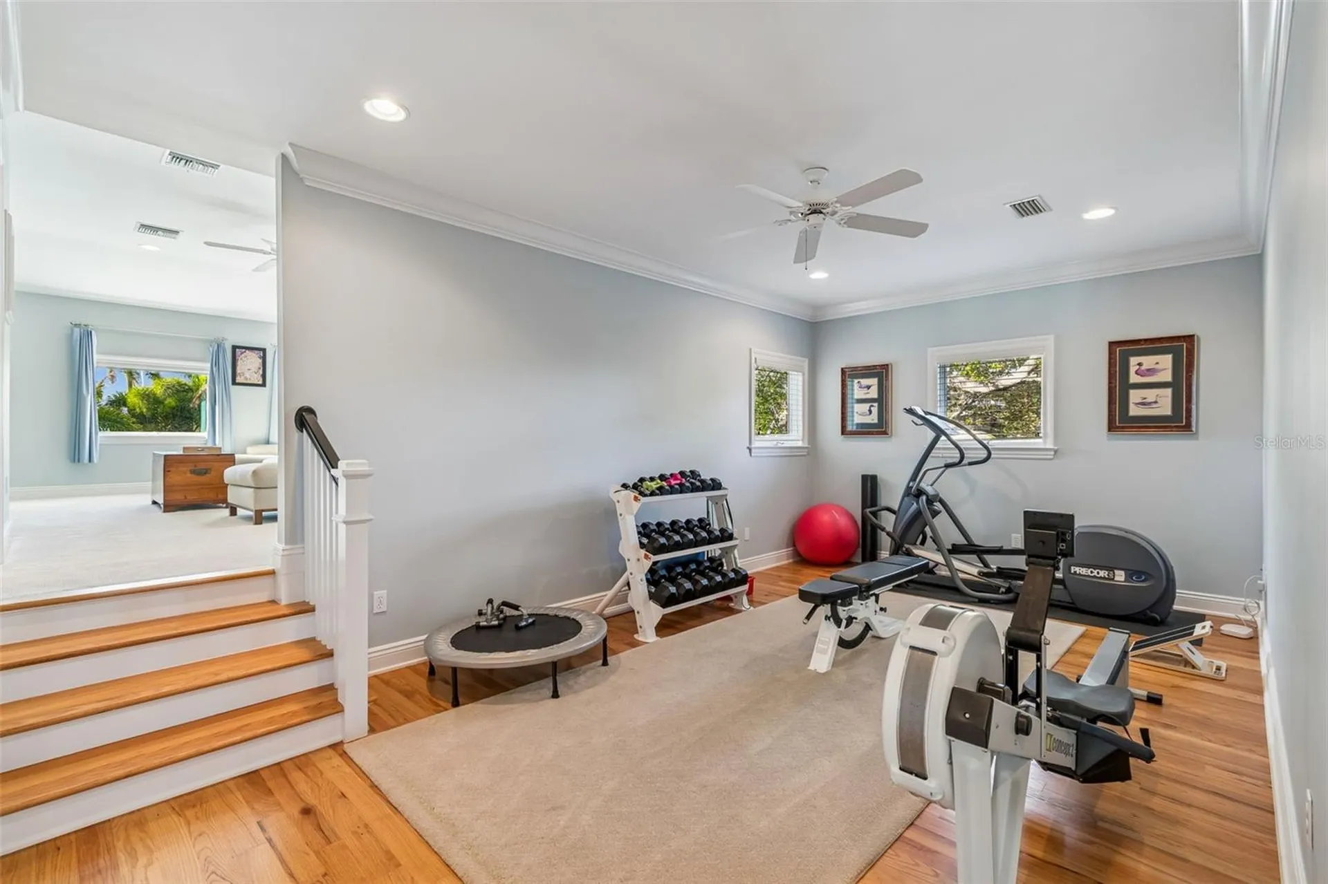 4909 W Spring Lake Drive Tampa FL 33629