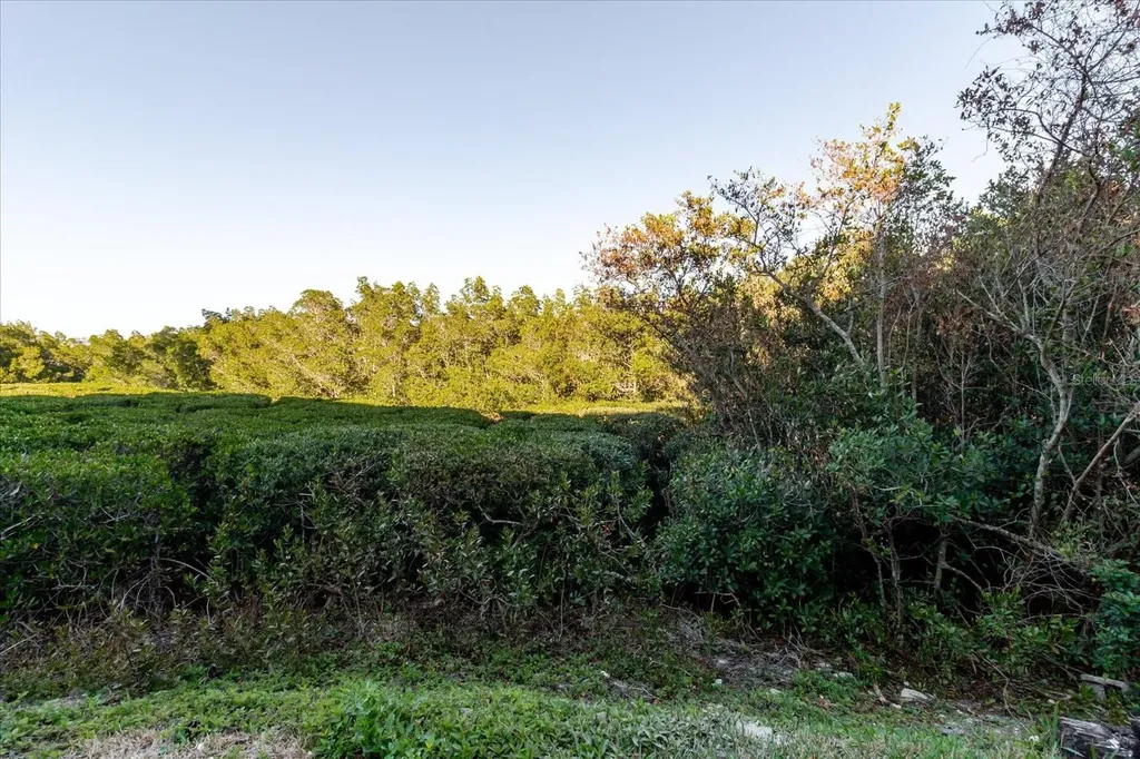 208 Mariner Drive Tarpon Springs FL 34689