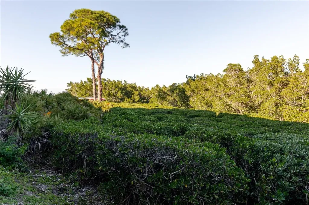 208 Mariner Drive Tarpon Springs FL 34689