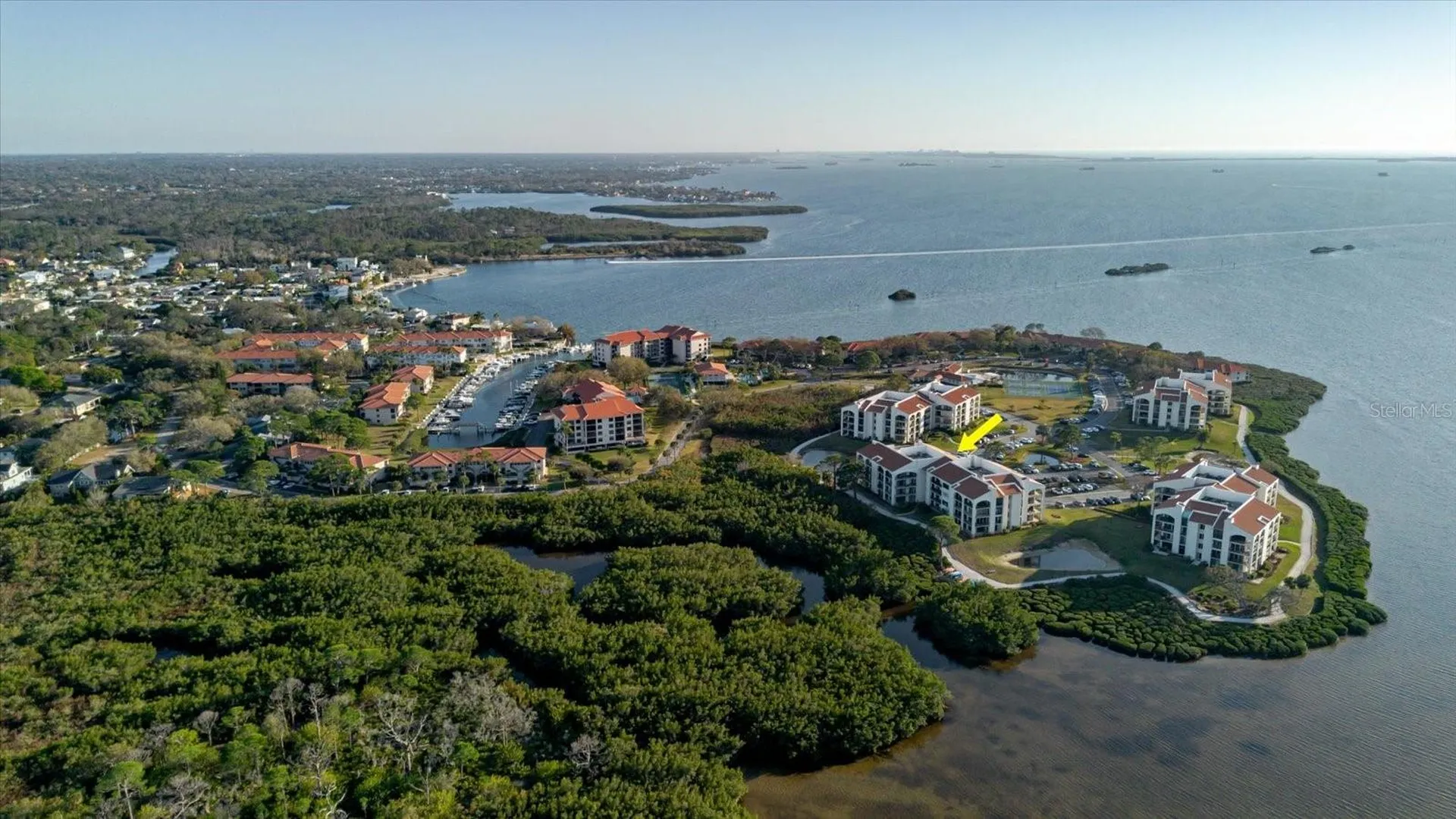 208 Mariner Drive Tarpon Springs FL 34689