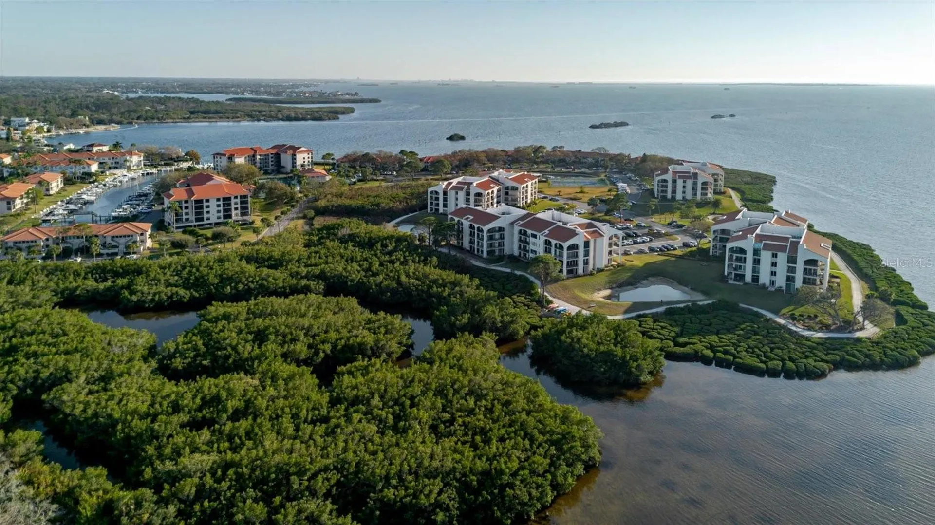 208 Mariner Drive Tarpon Springs FL 34689
