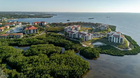 208 Mariner Drive Tarpon Springs FL 34689