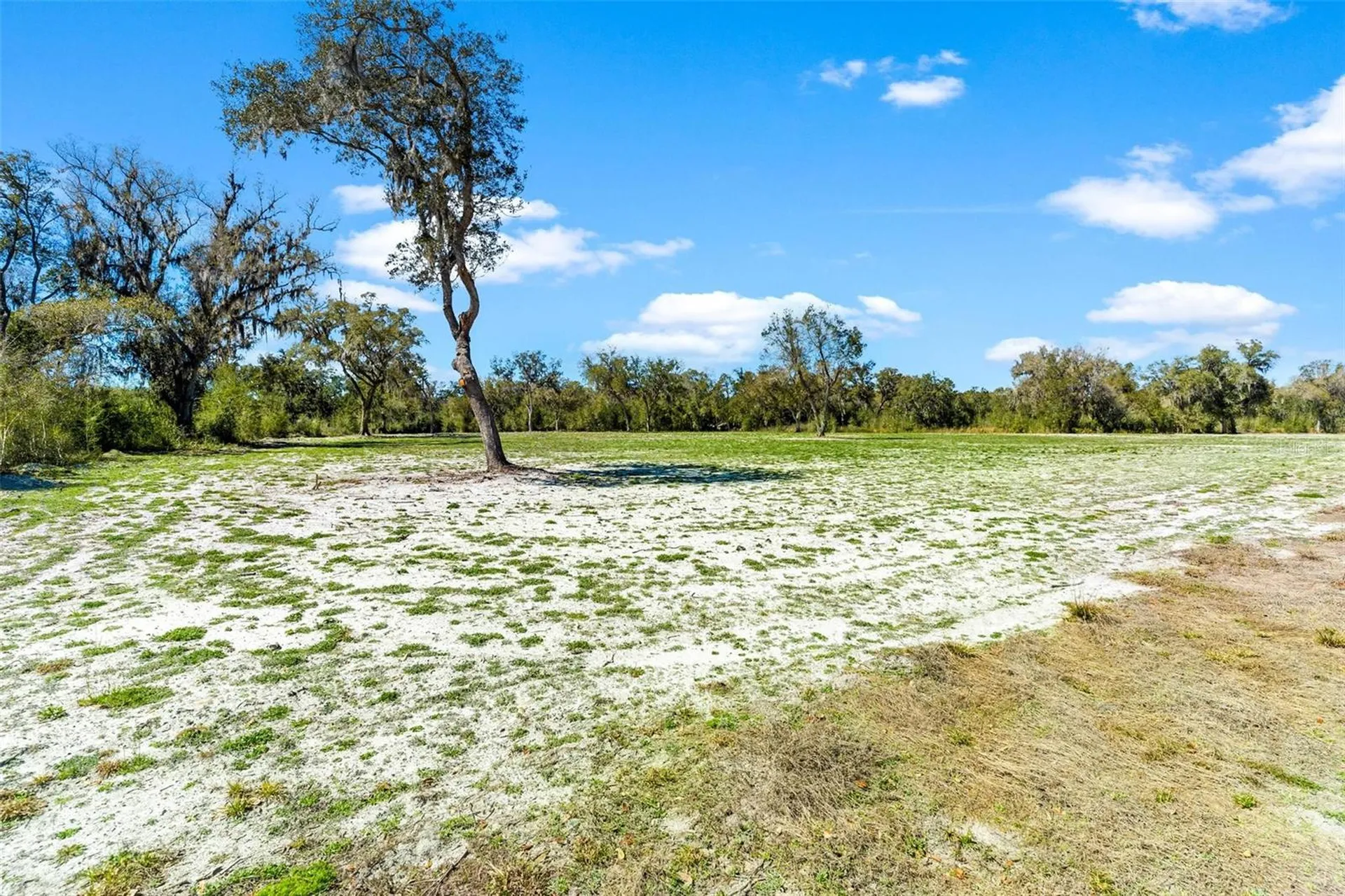 1428 Oxford Preserve Trail Oxford FL 34484