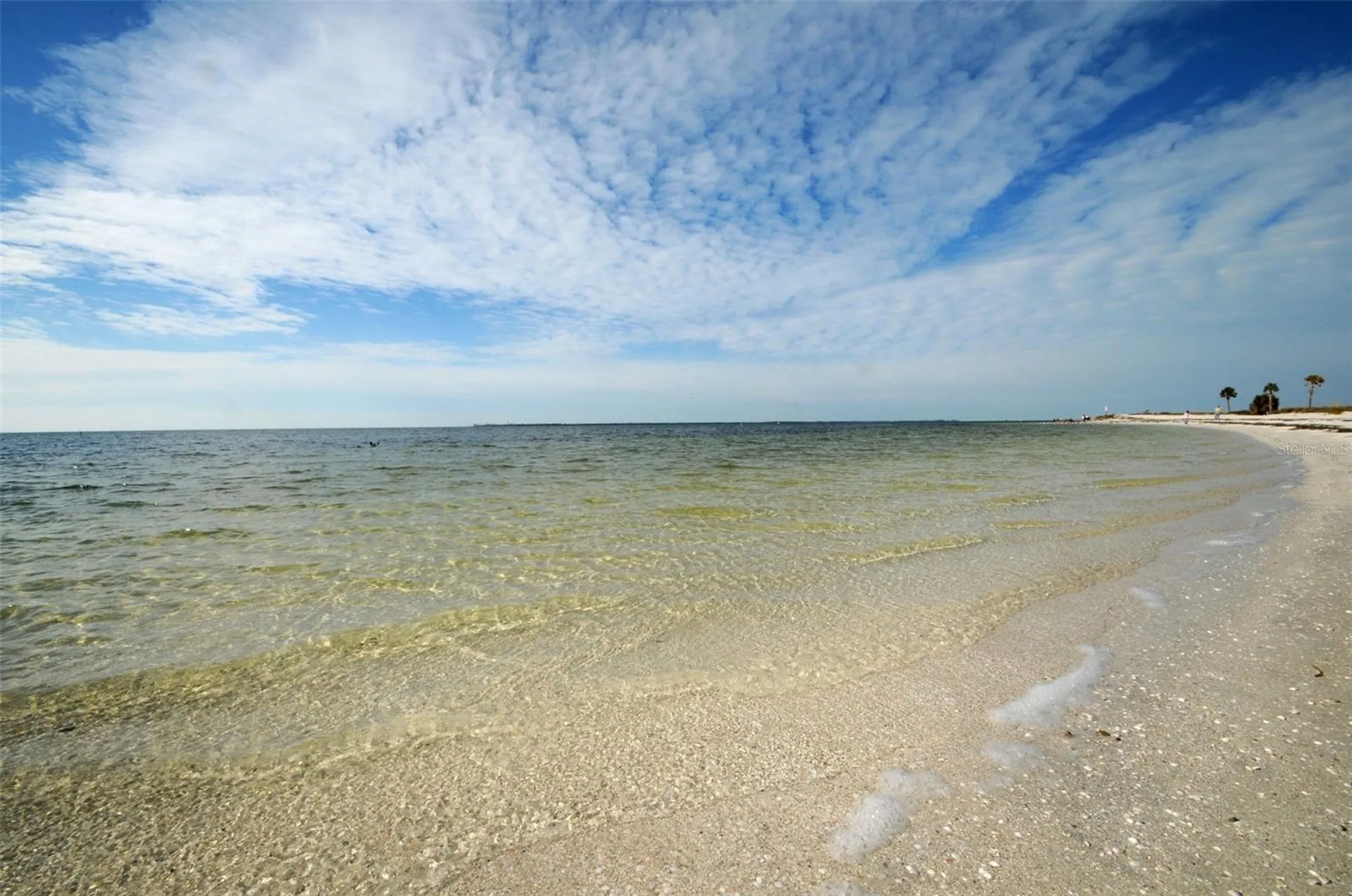 494 Village Drive Tarpon Springs FL 34689