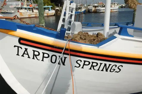 494 Village Drive Tarpon Springs FL 34689