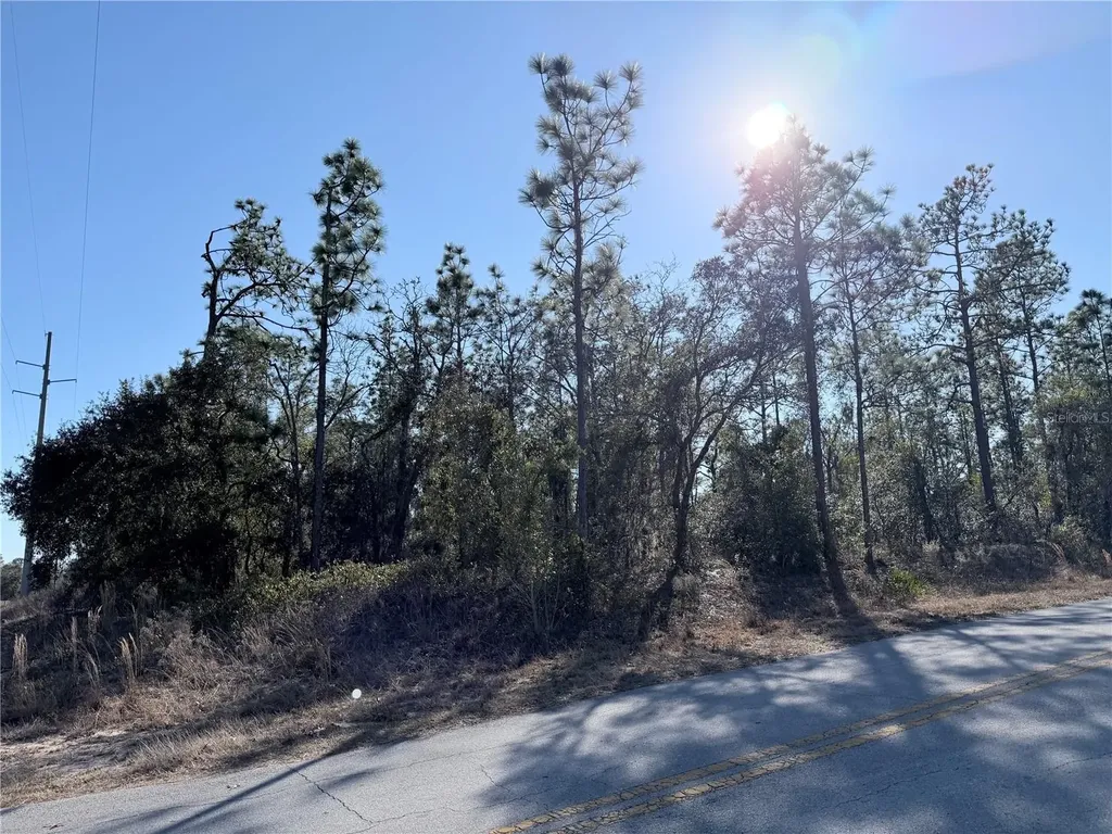 0 SW Edgewater Boulevard Dunnellon FL 34431