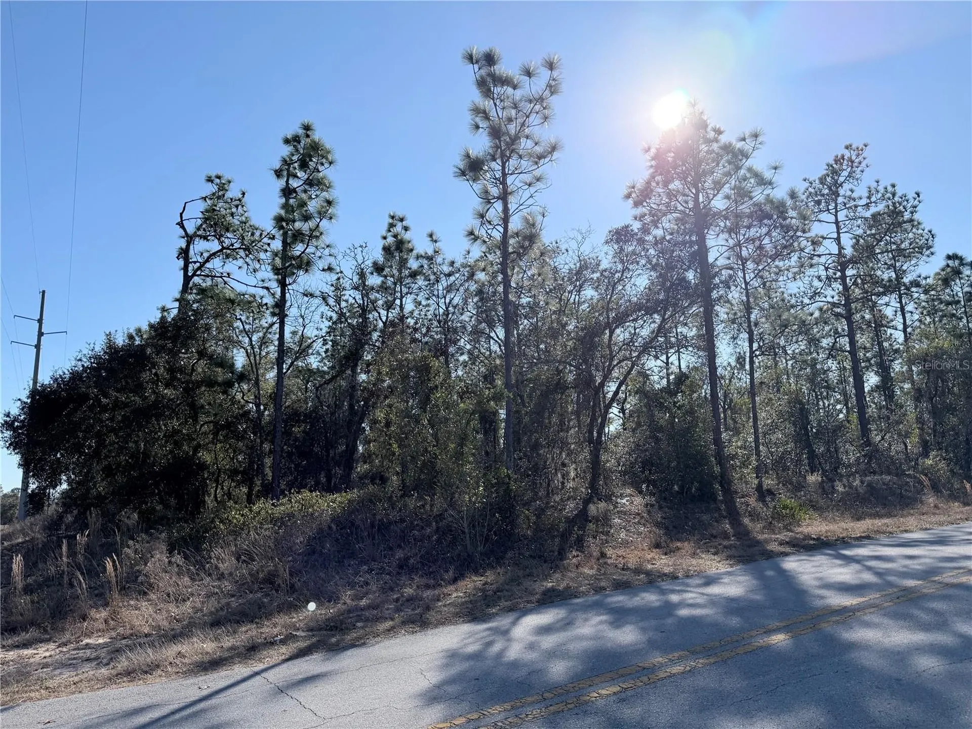 0 SW Edgewater Boulevard Dunnellon FL 34431