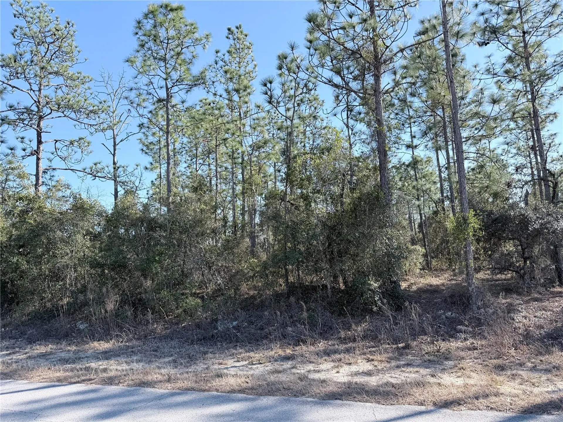 0 SW Edgewater Boulevard Dunnellon FL 34431