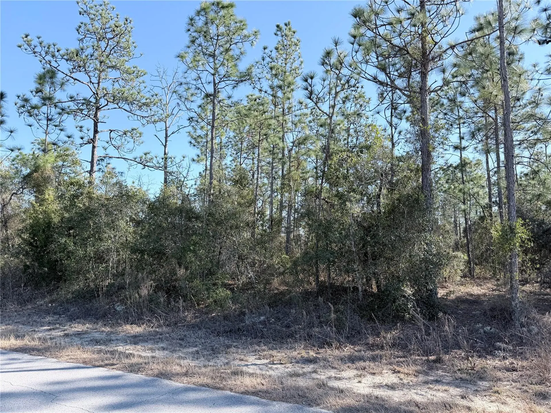 0 SW Edgewater Boulevard Dunnellon FL 34431