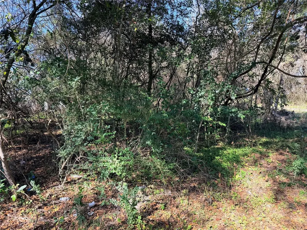 Tbd NW 151st Avenue Alachua FL 32615