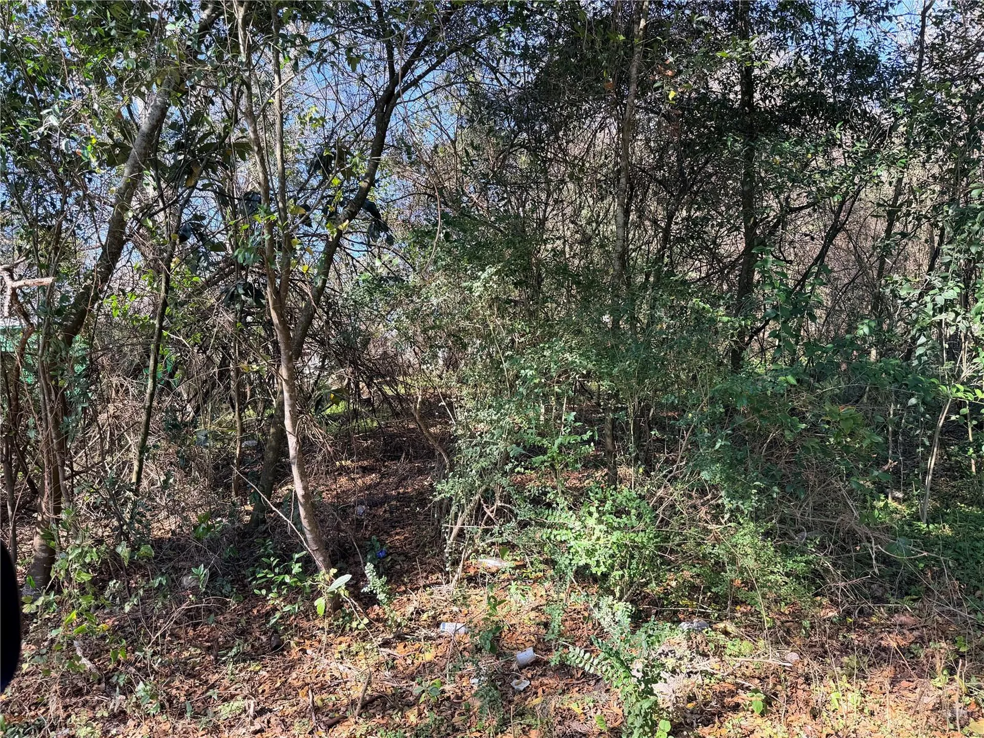 Tbd NW 151st Avenue Alachua FL 32615