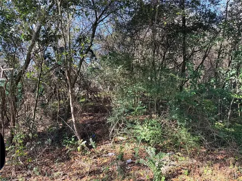 Tbd NW 151st Avenue Alachua FL 32615