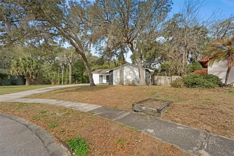 1080 Grizzly Court Apopka FL 32712