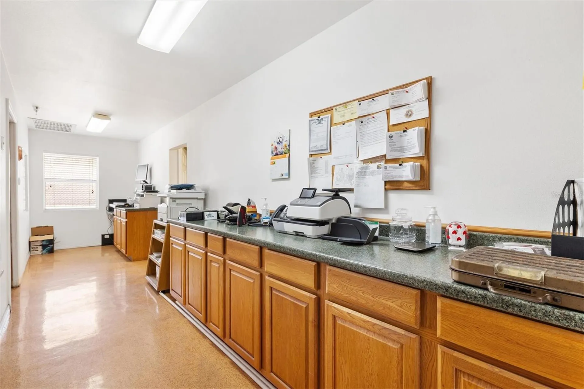 1103 Thomas Avenue Leesburg FL 34748