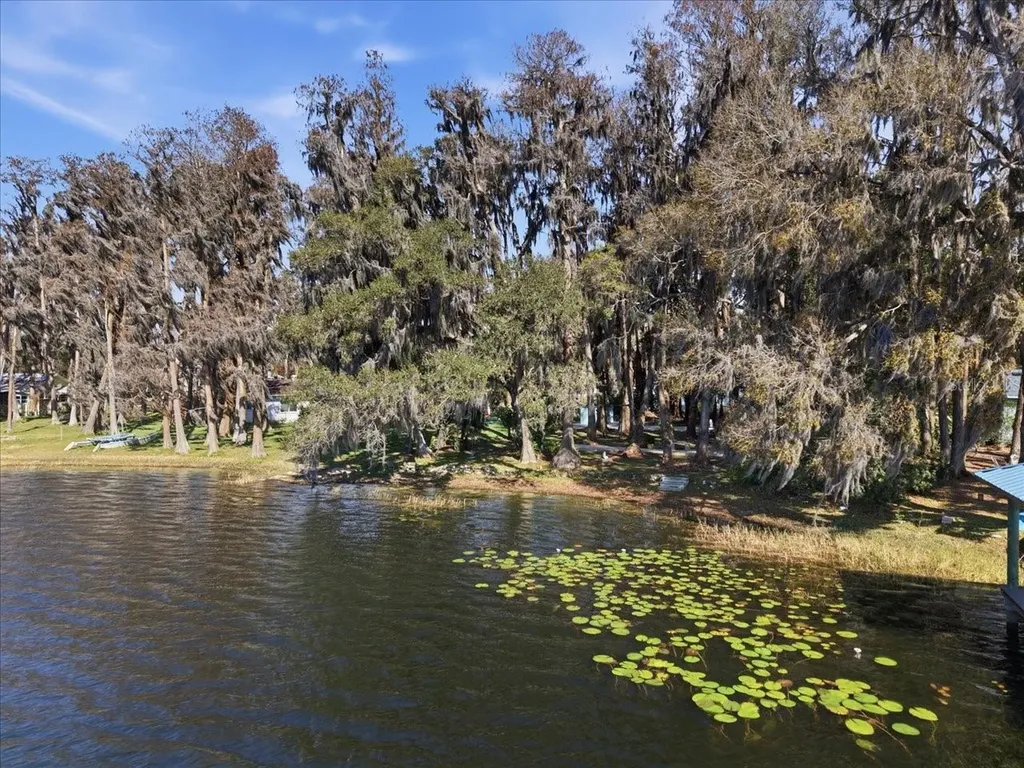 19513 Deer Lake Road Lutz FL 33548