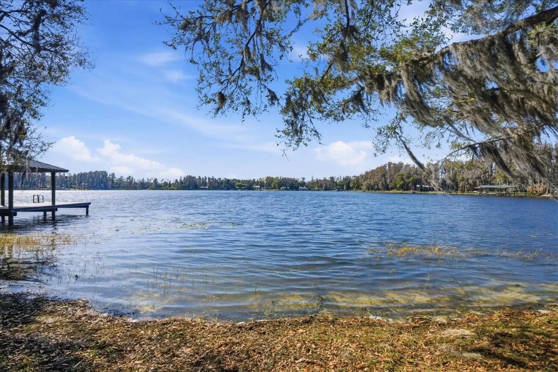 19513 Deer Lake Road Lutz FL 33548