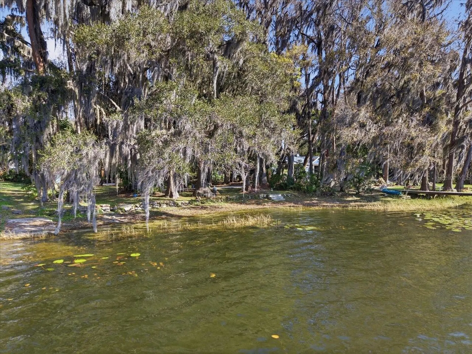 19513 Deer Lake Road Lutz FL 33548