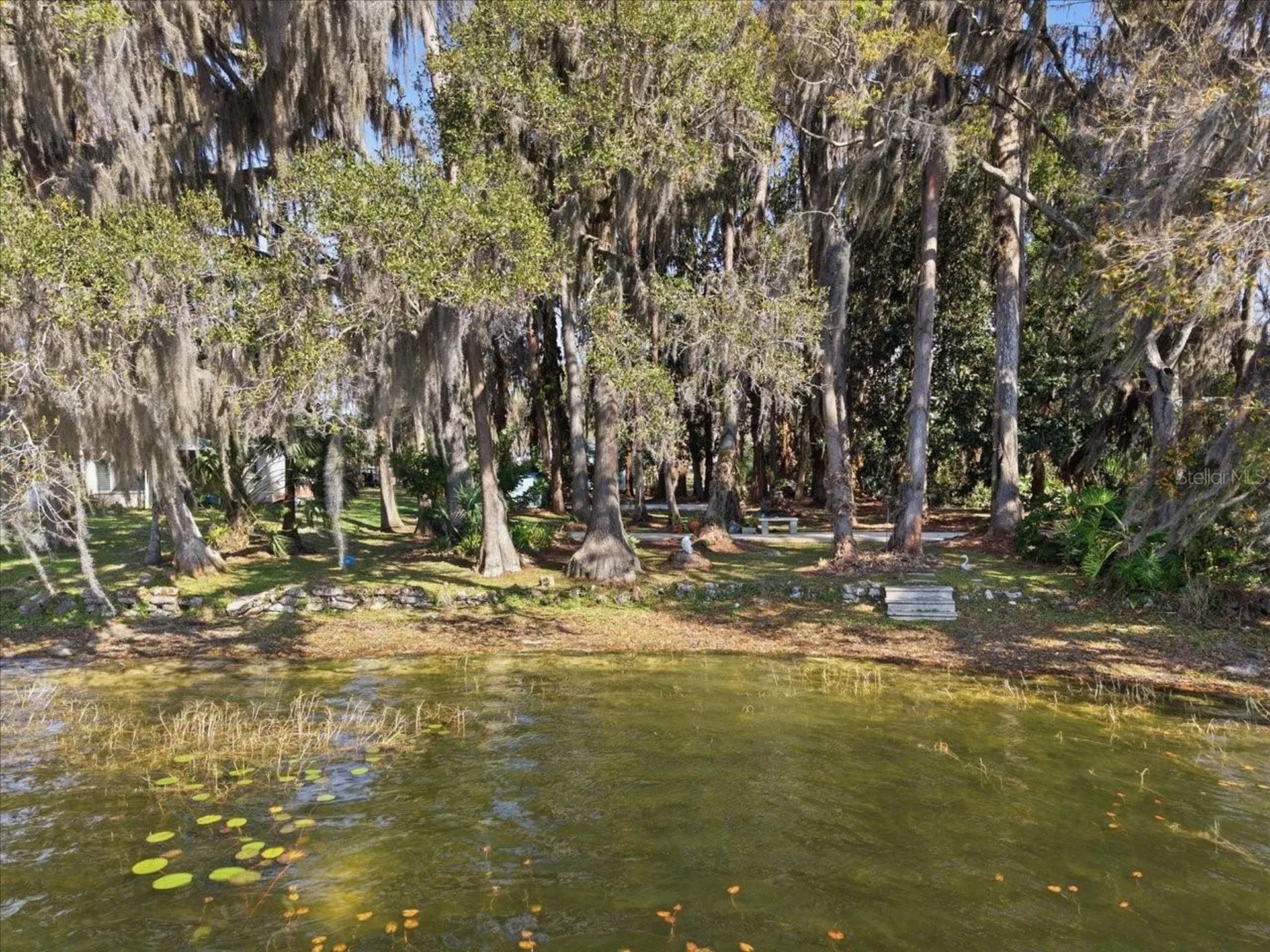 19513 Deer Lake Road Lutz FL 33548
